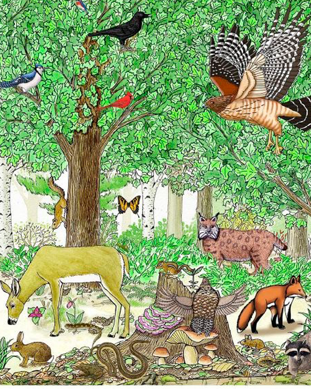 Construction projects often have a significant impact on the environment, including the loss of natural habitats and biodiversity.